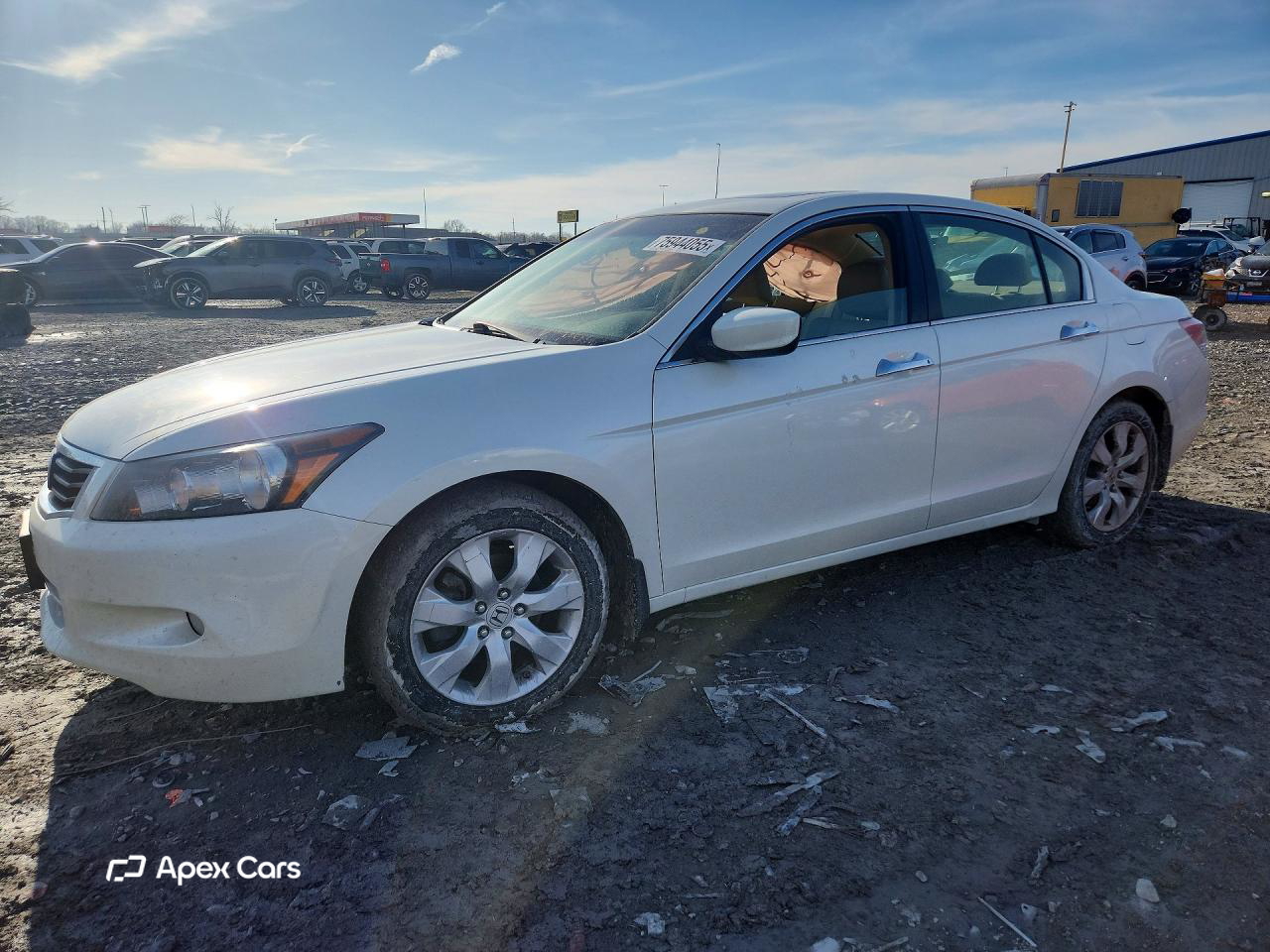 Honda Accord 2010