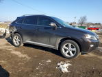 Lexus RX 2013