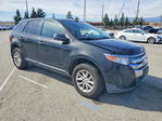 Ford Edge 2013