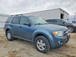 Ford Escape 2011
