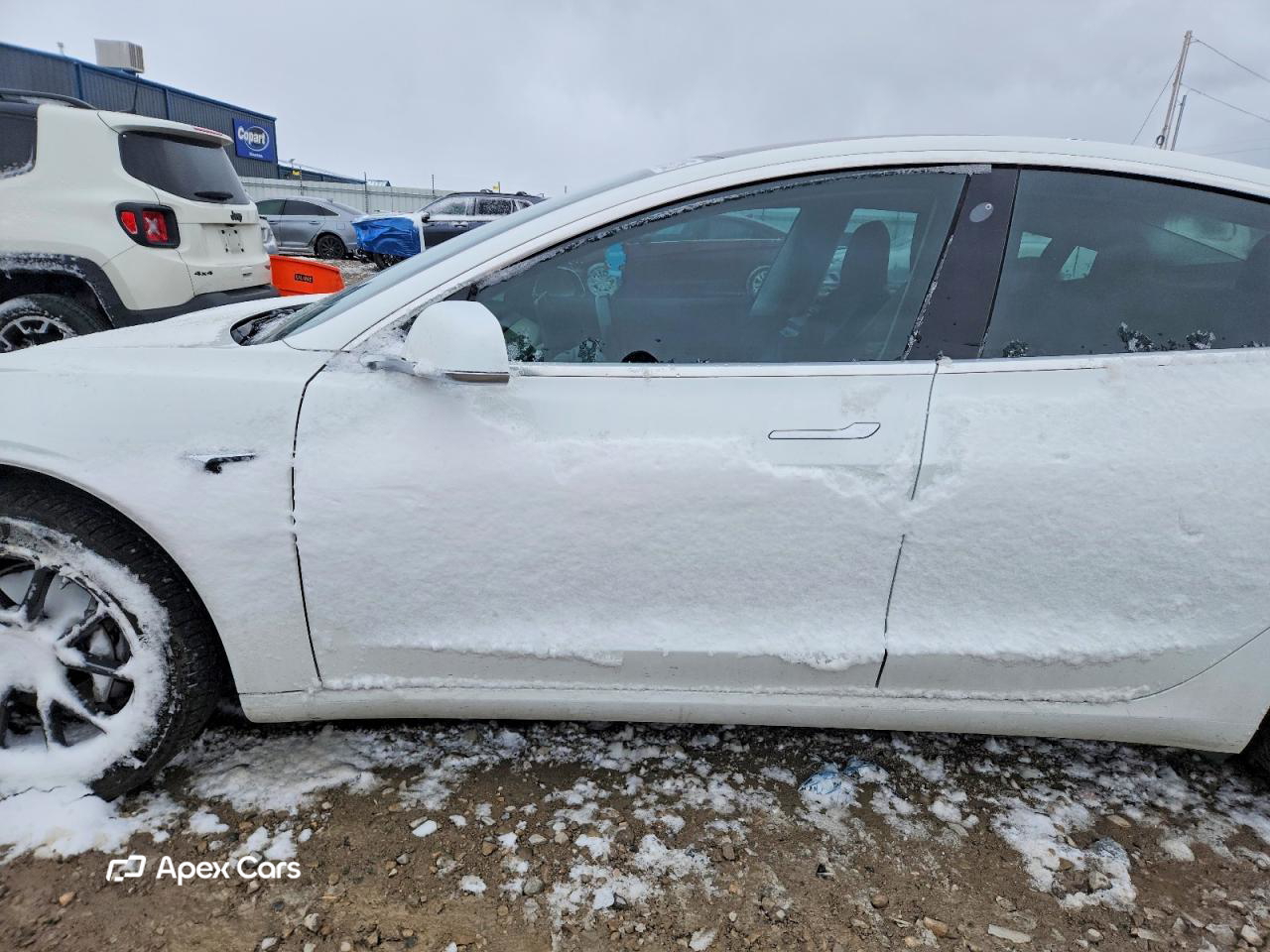 Tesla Model 3 2017