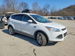 Ford Escape 2016