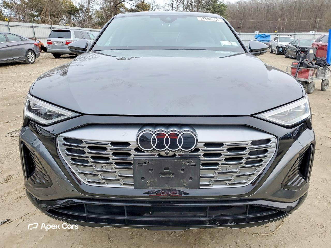 Audi Q8 2024