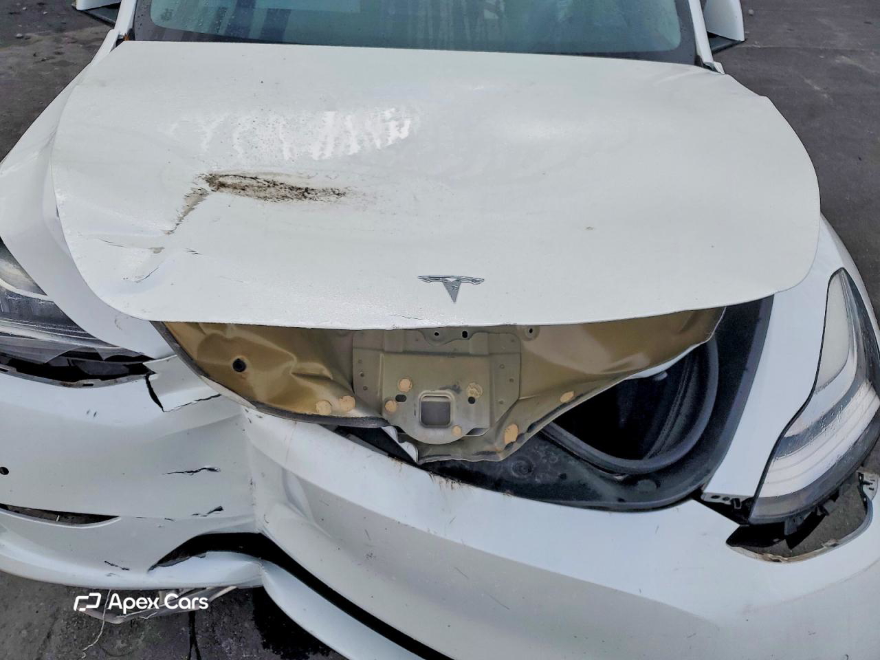 Tesla Model Y 2020