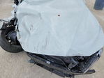 BMW Series 4 2024