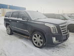 Cadillac Escalade 2018