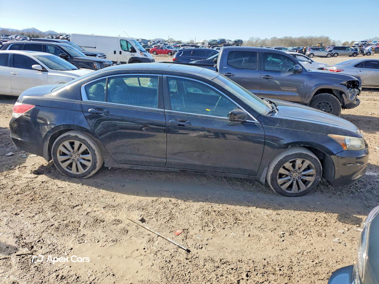 Honda Accord 2011
