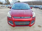 Ford Escape 2014