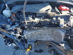 Dodge Hornet 2024