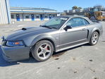 Ford Mustang 2004