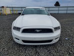 Ford Mustang 2013