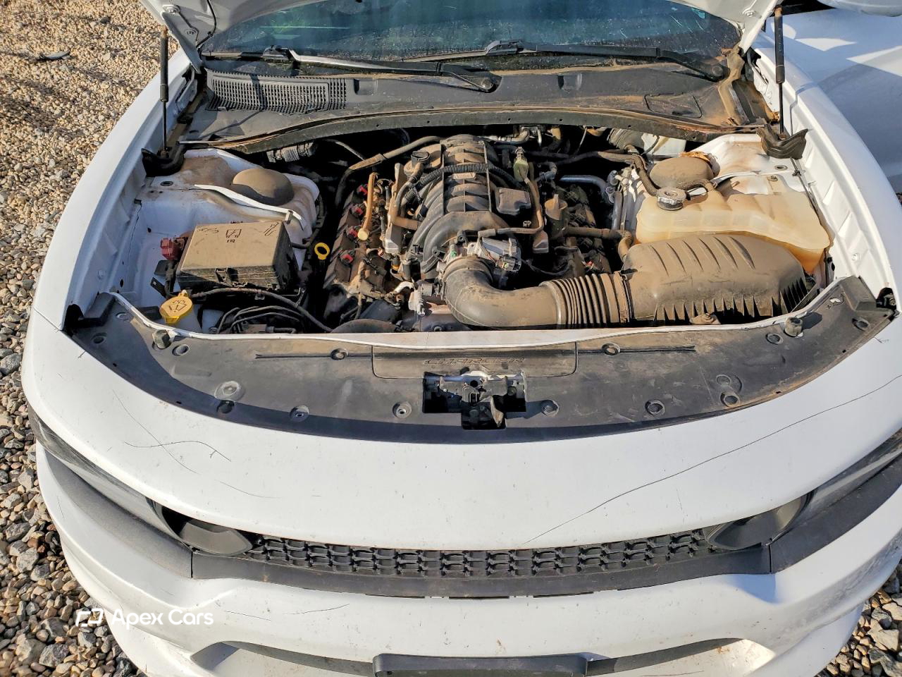 Dodge Charger 2019