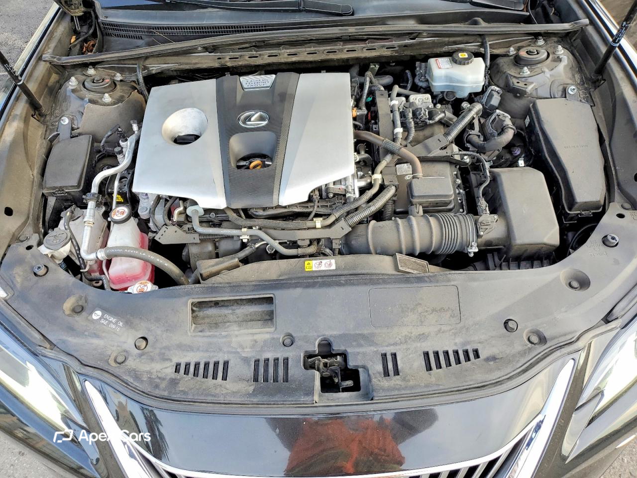 Lexus ES 2021