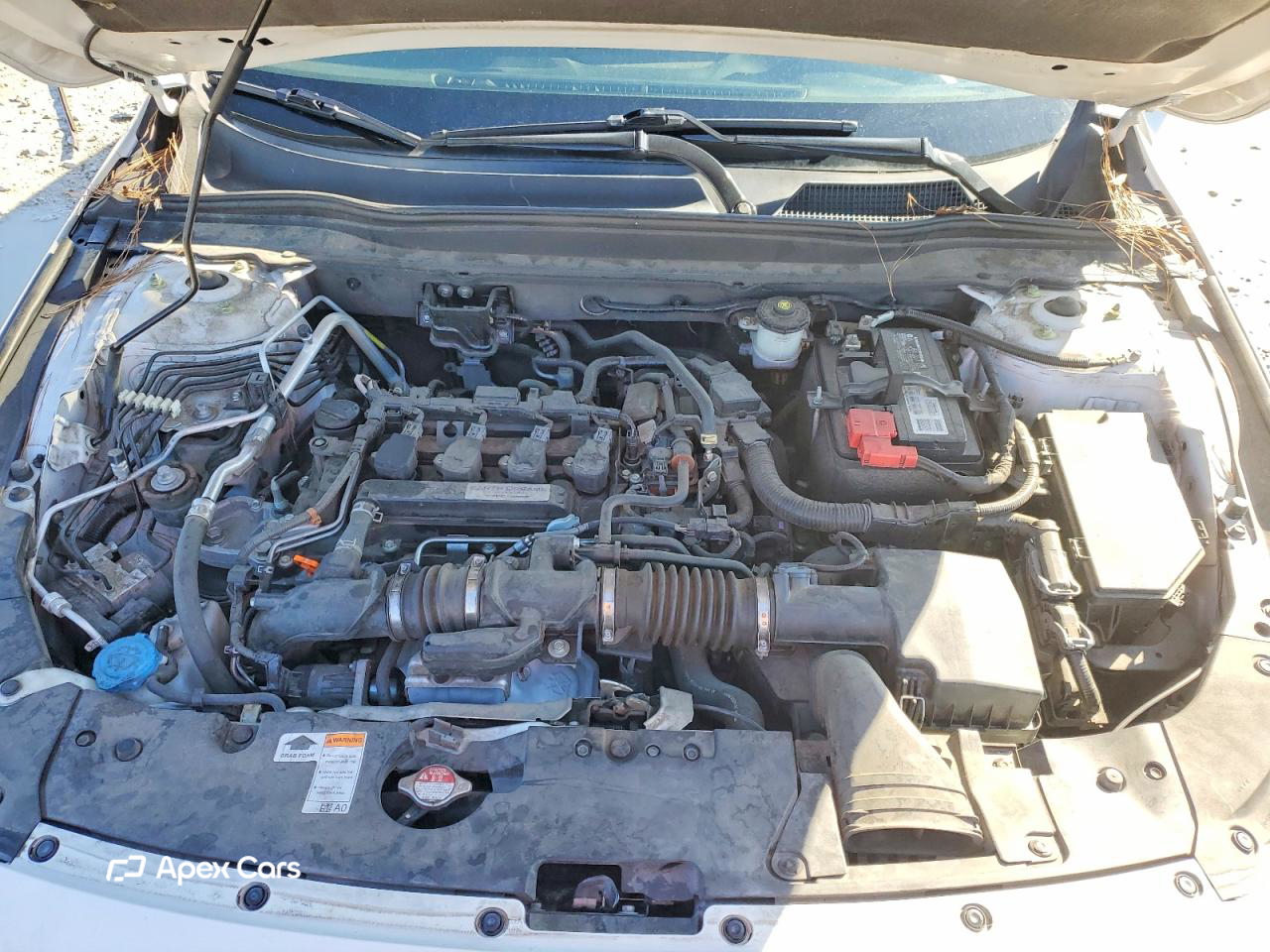 Honda Accord 2019