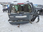 Ford Expedition 2007