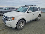 Ford Escape 2011