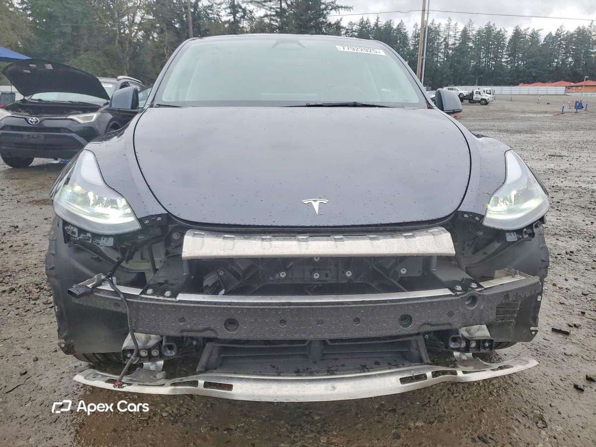 Tesla Model Y 2025