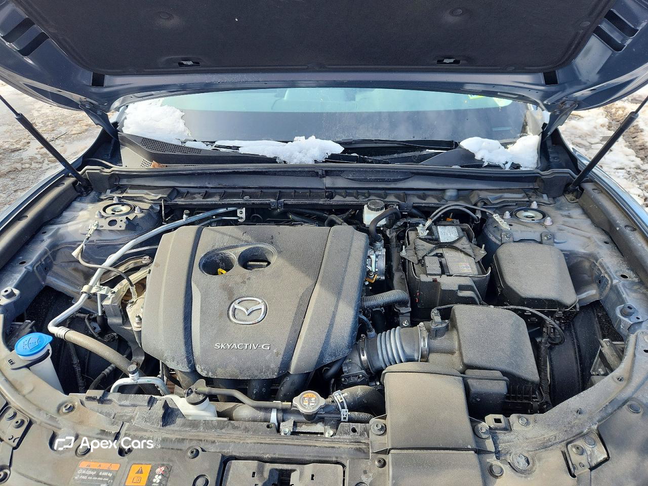 Mazda CX-50 2024