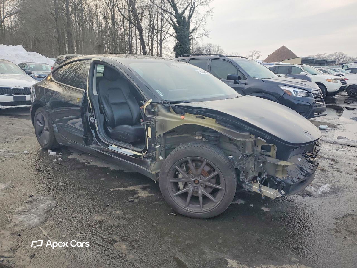 Tesla Model 3 2019