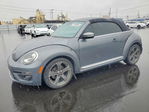 Volkswagen Beetle 2014