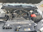 Ford Ranger 2023
