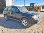 Ford Escape 2009