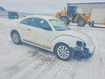 Volkswagen Beetle 2018
