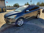 Ford Escape 2016