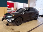 Lexus RX 2024