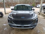 Ford Escape 2020