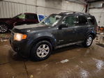 Ford Escape 2009