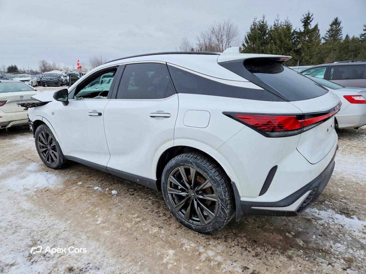 Lexus RX 2025