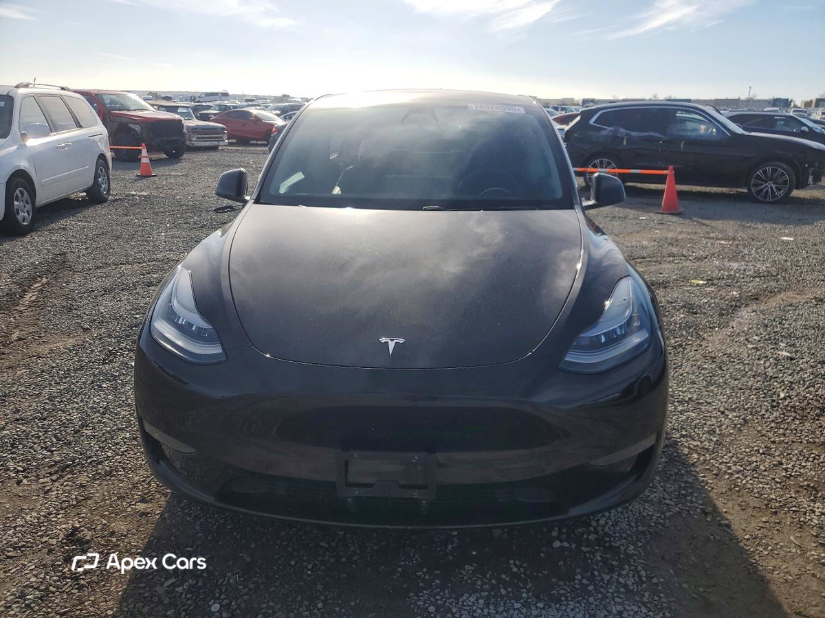 Tesla Model Y 2020