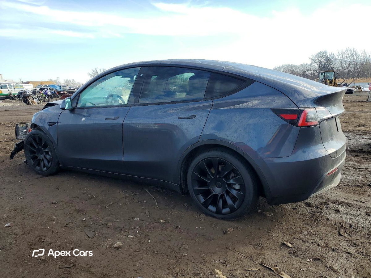 Tesla Model Y 2020