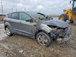 Ford Escape 2015