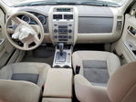 Ford Escape 2008