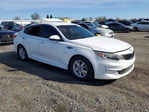 Kia Optima 2016