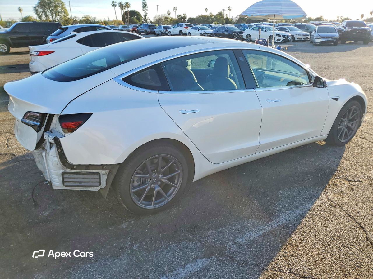 Tesla Model 3 2019