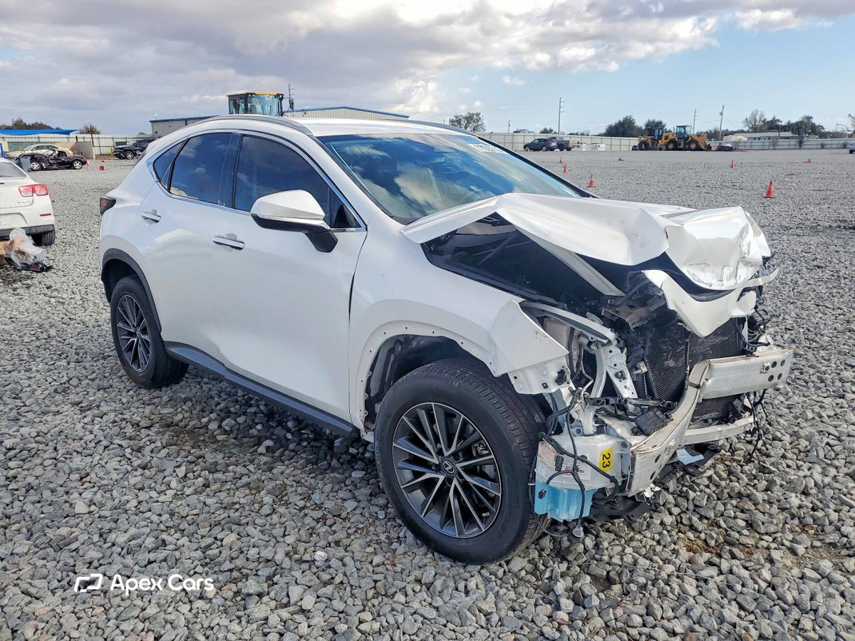 Lexus NX 2022