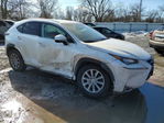 Lexus NX 2015