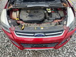 Ford Escape 2014