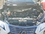 Lexus NX 2020