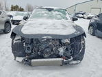Audi Q5 2023