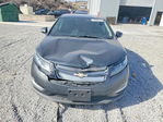 Volt 2013