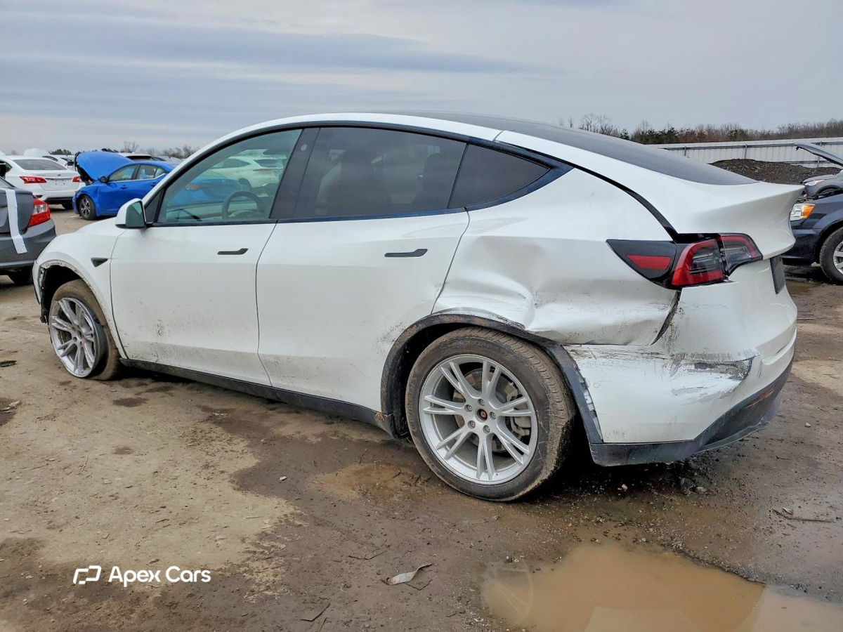 Tesla Model Y 2021