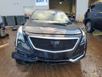 Cadillac CT6 2016