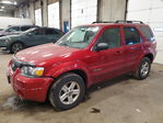 Ford Escape 2007