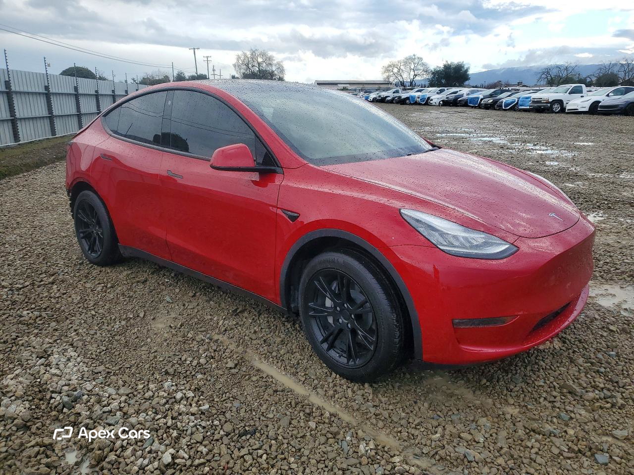 Tesla Model Y 2021