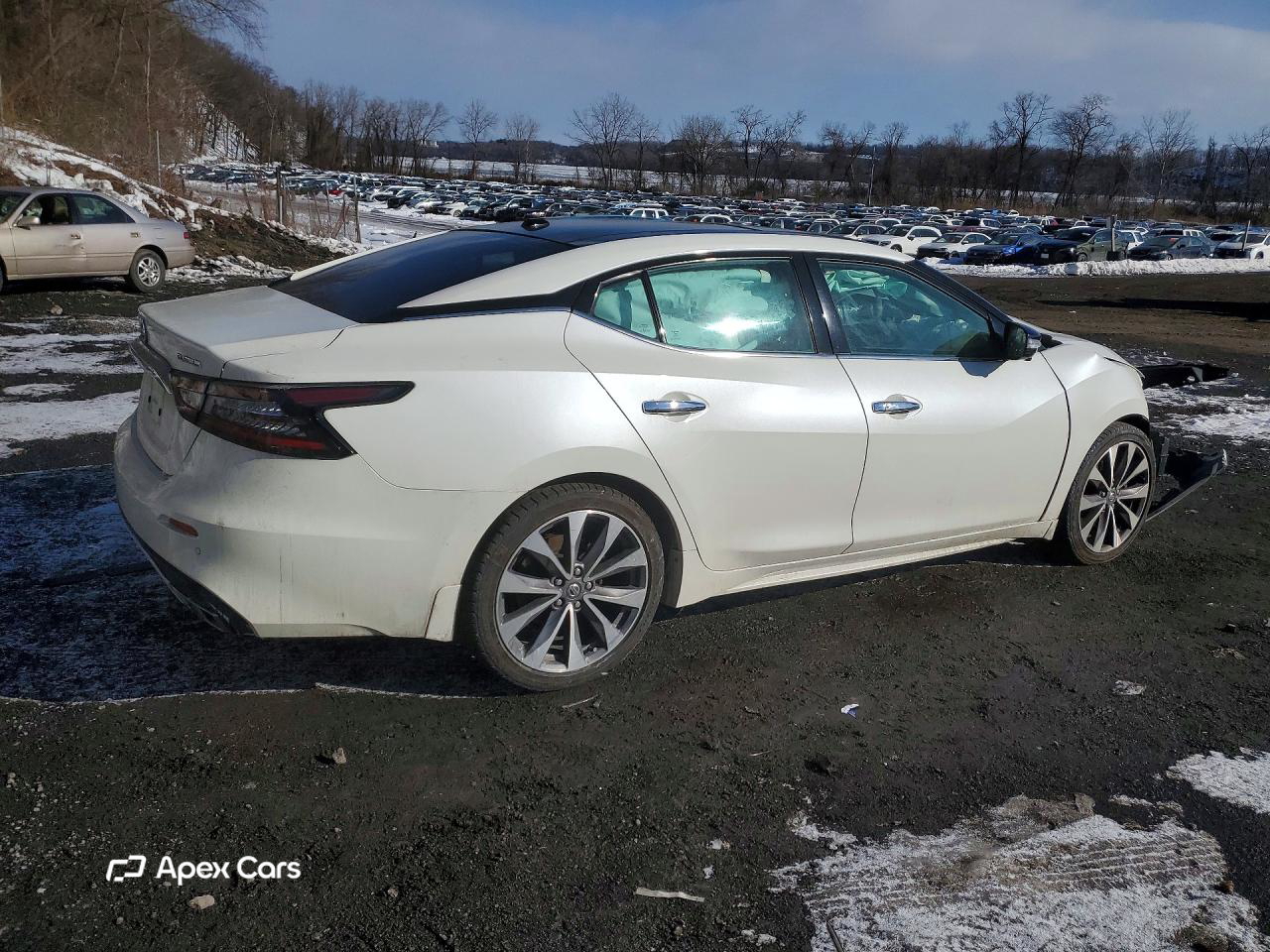 Nissan Maxima 2019