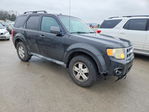 Ford Escape 2011